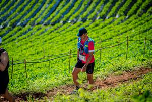 BIB: 
                            <button type="button" onclick="openModal(19161838)" class="btn btn-primary btn-sm float-right btn-popup" data-toggle="modal" data-target=".modal-high-quality">
                        <i class="fas fa-shopping-cart"></i> Add to Cart
                    </button>
                                            <button type="button" onclick="isThisMe(19161838, true)" class="btn btn-success btn-sm float-right btn-popup btn-isme hidden" data-toggle="tooltip" data-placement="bottom" title="นี่คือรูปของคุณใช่ไหม คลิกที่นี่เพื่อเอาเข้าอัลบั้ม">
                        <i class="fas fa-plus"></i> Add to album
                    </button>
                    <button type="button" onclick="isThisMe(19161838, false)" class="btn btn-warning btn-sm float-right btn-popup btn-isnotme hidden">
                        <i class="fas fa-ban"></i> Remove from album
                    </button>